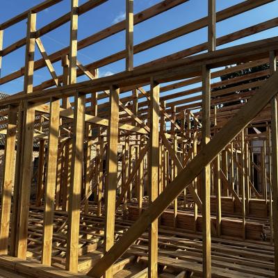 Photo 2025 10 22 12 07 49 2