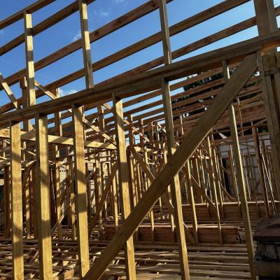 Photo 2025 10 22 12 07 49