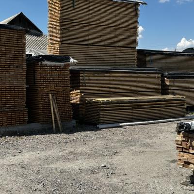 Photo 2025 10 22 12 08 47 4