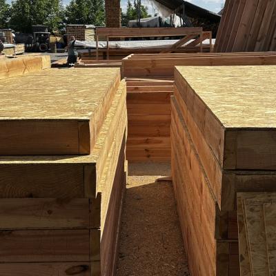 Photo 2025 10 22 12 12 27 3