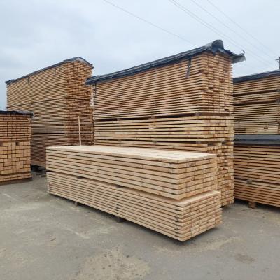 Photo 2025 10 22 12 17 02 3